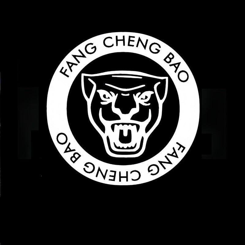 Puddle Lights for Fangchengbao Leopard 5/Denza B5 - NICE EVS