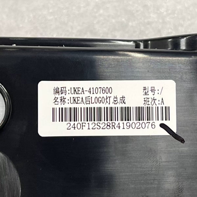 Special LED Tail Logo Light for BYD Sealion 7 - NICE EVS