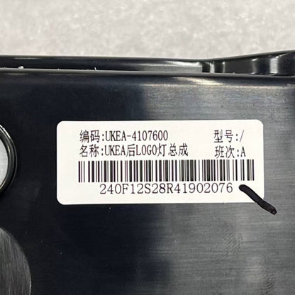Special LED Tail Logo Light for BYD Sealion 7 - NICE EVS