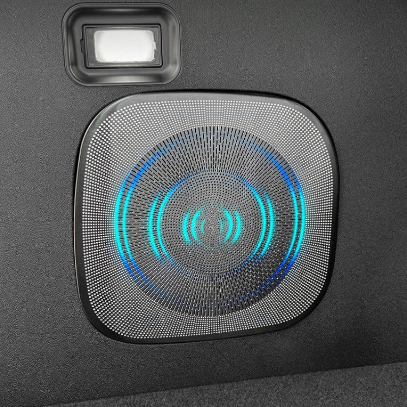 Stainless Steel Trunk Subwoofer Speaker Cover for Leapmotor C10 - NICE EVS