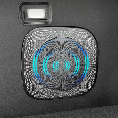 Stainless Steel Trunk Subwoofer Speaker Cover for Leapmotor C10 - NICE EVS