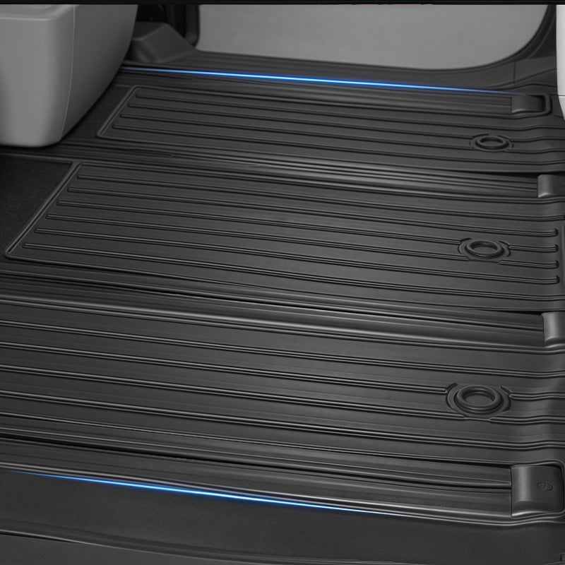 TPE Floor Mats & Trunk Mat for ZEEKR 009 - NICE EVS