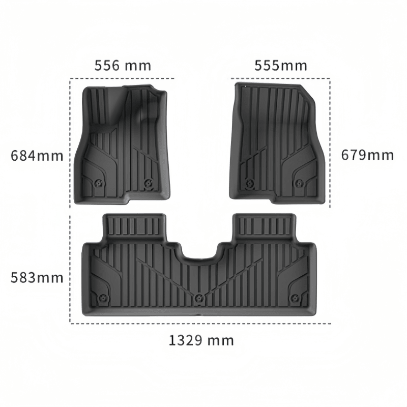 TPE Floor Mats & Trunk Mats for Aion UT - NICE EVS