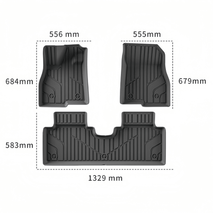 TPE Floor Mats & Trunk Mats for Aion UT - NICE EVS