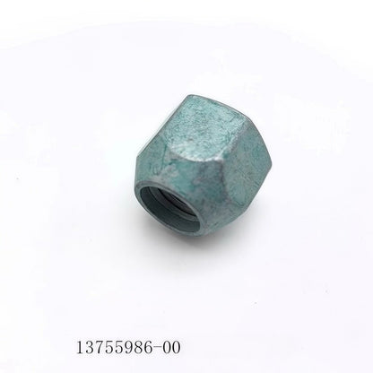 Wheel Bolt & Wheel Bolt Caps for BYD (5 pcs) - NICE EVS