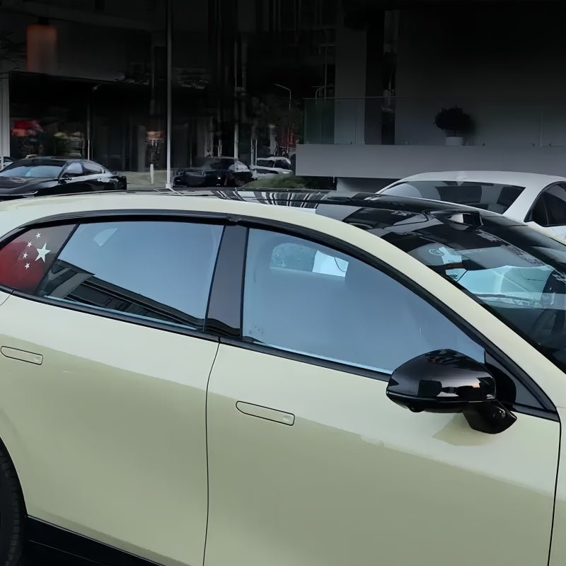 Window Visor Rain Guard for Leapmotor B05 - NICE EVS